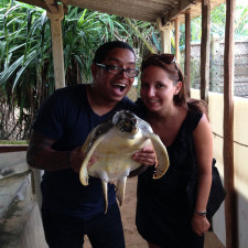 Southern Sri Lanka - Turtle Sanctuary